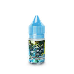 Twelve Monkeys Ice salt nic e-liquid – Circle of Life
