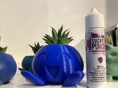 Pokemon Ceramic Pots