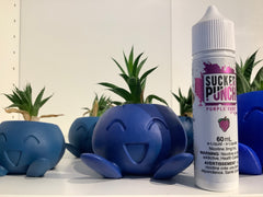 Pokemon Ceramic Pots