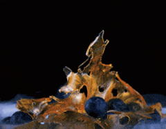 Holographic Canvas Print