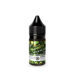 Twelve Monkeys salt nic e-liquid – Circle of Life
