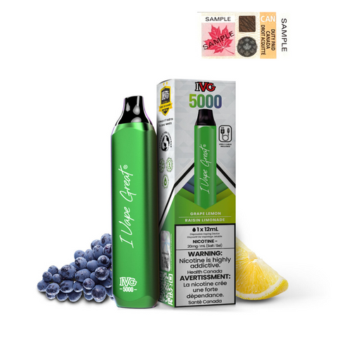IVG 5000 - Rechargeable Disposable - 5000 puff