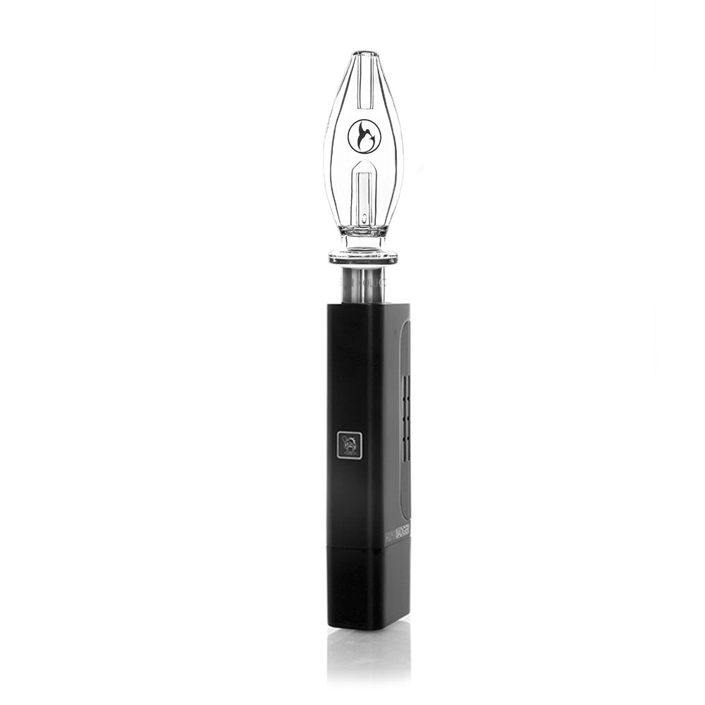 Huni Badger - Nectar Collector Honeybird Core