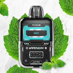 YoOne - VAPENGIN - Pod - 8000 Puff