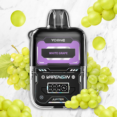 YoOne - VAPENGIN - Pod - 8000 Puff