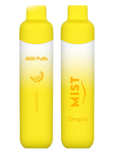 GCore Mist 4000 Disposable Device - 4000 puffs