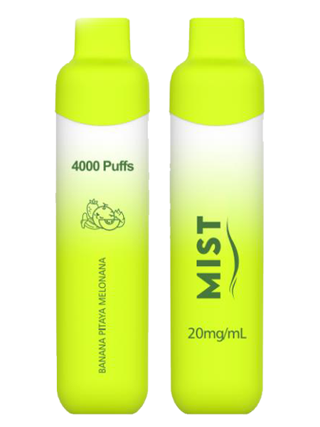 GCore Mist 4000 - Rechargeable Disposable - 4000 puffs