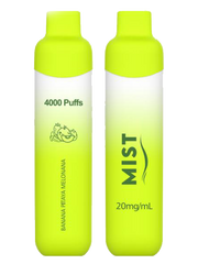 GCore Mist 4000 - Rechargeable Disposable - 4000 puffs
